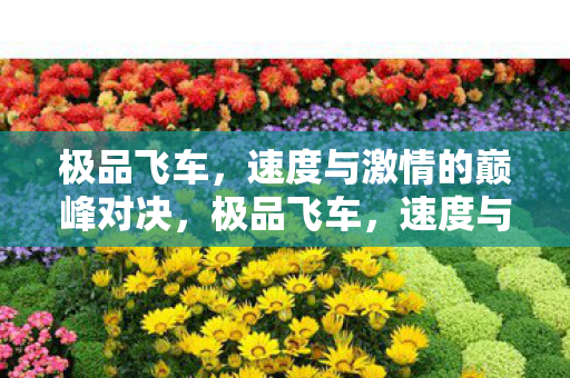 极品飞车，速度与激情的巅峰对决，极品飞车，速度与激情的巅峰对决