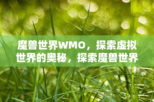 魔兽世界WMO，探索虚拟世界的奥秘，探索魔兽世界WMO，揭秘虚拟世界的奥秘