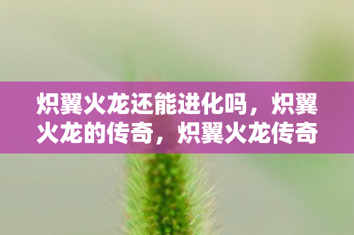 炽翼火龙还能进化吗，炽翼火龙的传奇，炽翼火龙传奇，能否再次进化？