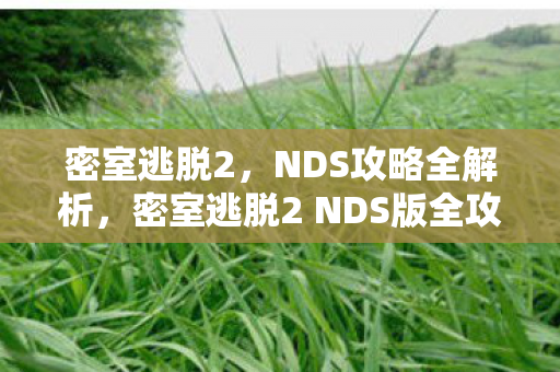 密室逃脱2，NDS攻略全解析，密室逃脱2 NDS版全攻略解析