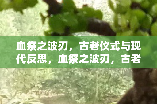 血祭之波刃，古老仪式与现代反思，血祭之波刃，古老仪式与现代反思的交织