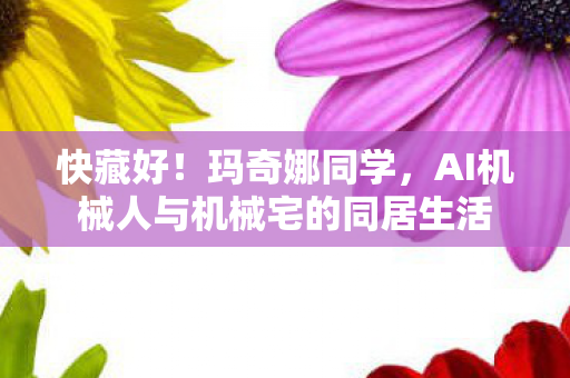 快藏好！玛奇娜同学，AI机械人与机械宅的同居生活