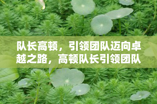 队长高顿，引领团队迈向卓越之路，高顿队长引领团队迈向卓越之路