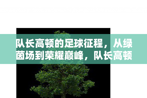 队长高顿的足球征程，从绿茵场到荣耀巅峰，队长高顿的足球征程，从绿茵场到荣耀巅峰