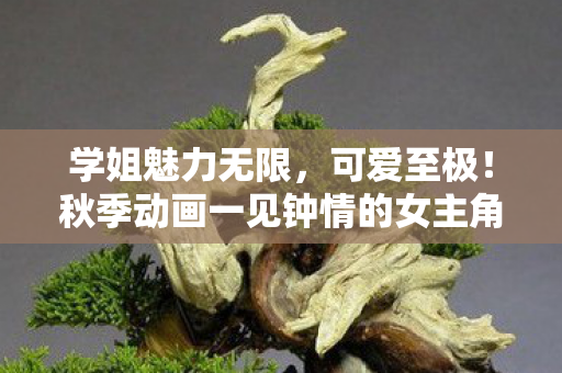 学姐魅力无限，可爱至极！秋季动画一见钟情的女主角TOP10