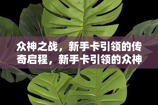 众神之战，新手卡引领的传奇启程，新手卡引领的众神之战传奇启程