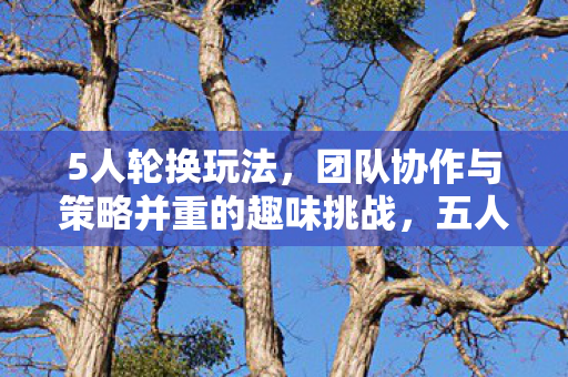 5人轮换玩法，团队协作与策略并重的趣味挑战，五人轮换挑战，团队协作与策略并重的趣味冒险