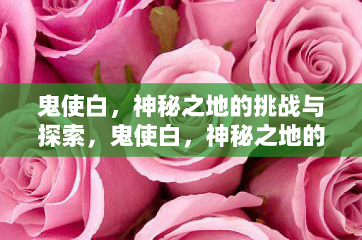 神秘之地的挑战与探索之旅图片