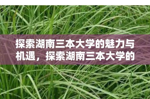 探索湖南三本大学的魅力与机遇，探索湖南三本大学的独特魅力与无限机遇