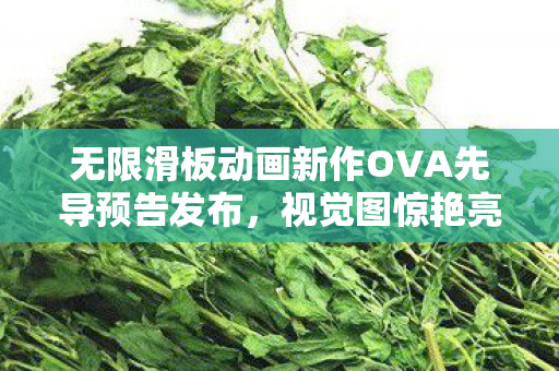 无限滑板动画新作OVA先导预告发布，视觉图惊艳亮相！