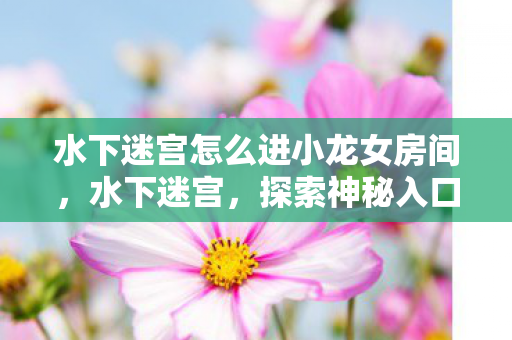 水下迷宫怎么进小龙女房间，水下迷宫，探索神秘入口的奇幻之旅，探索神秘入口，水下迷宫如何进入小龙女房间