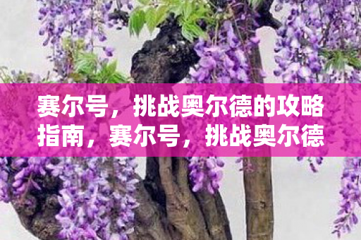 赛尔号，挑战奥尔德的攻略指南，赛尔号，挑战奥尔德的全面攻略