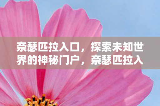 奈瑟匹拉入口，探索未知世界的神秘门户，奈瑟匹拉入口，探索未知世界的神秘门户