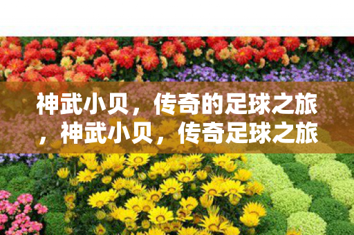 神武小贝，传奇的足球之旅，神武小贝，传奇足球之旅