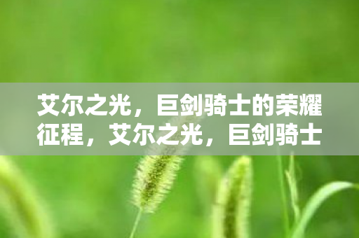 艾尔之光，巨剑骑士的荣耀征程，艾尔之光，巨剑骑士的荣耀征程