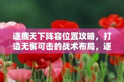 逐鹿天下阵容位置攻略，打造无懈可击的战术布局，逐鹿天下，打造无懈可击的战术布局