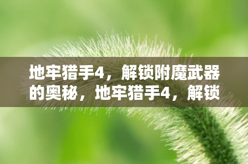 解锁附魔武器的奥秘图片