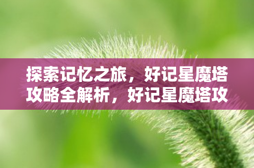 探索记忆之旅，好记星魔塔攻略全解析，好记星魔塔攻略全解析，探索记忆之旅