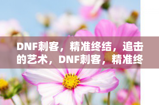 DNF刺客，精准终结，追击的艺术，DNF刺客，精准终结的追击艺术