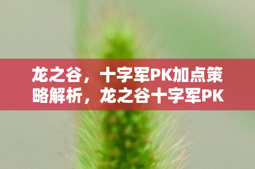 龙之谷，十字军PK加点策略解析，龙之谷十字军PK加点策略全解析