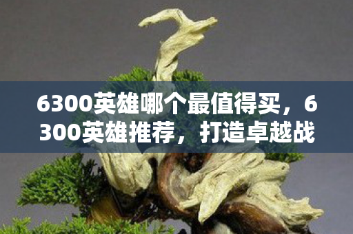 6300英雄哪个最值得买，6300英雄推荐，打造卓越战斗力的策略指南，打造卓越战斗力，6300英雄购买策略指南