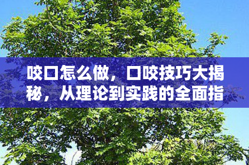 从理论到实践的全面指南图片