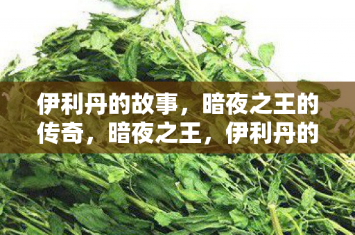 伊利丹的故事，暗夜之王的传奇，暗夜之王，伊利丹的传奇故事