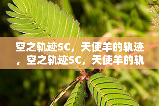 空之轨迹SC，天使羊的轨迹，空之轨迹SC，天使羊的轨迹
