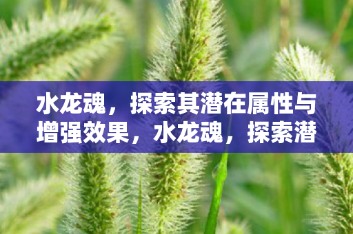 探索其潜在属性与增强效果图片