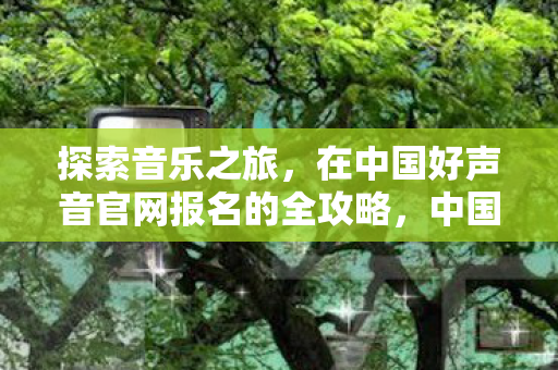 探索音乐之旅，在中国好声音官网报名的全攻略，中国好声音官网报名全攻略，开启音乐探索之旅