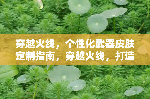 穿越火线，个性化武器皮肤定制指南，穿越火线，打造你的专属武器皮肤