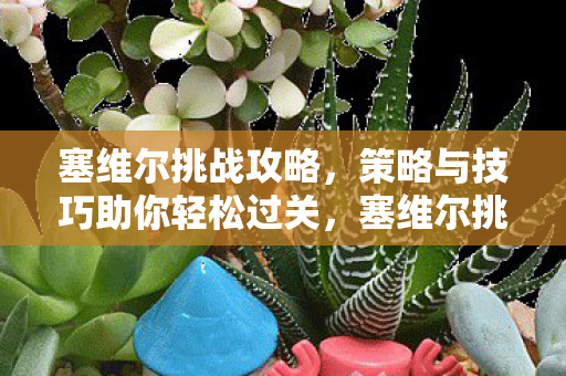 策略与技巧助你轻松过关图片