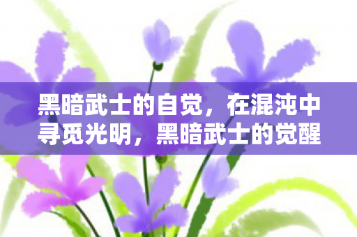 黑暗武士的自觉，在混沌中寻觅光明，黑暗武士的觉醒，在混沌中寻觅光明之路