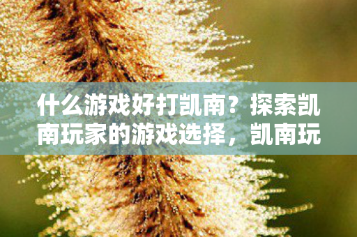 什么游戏好打凯南？探索凯南玩家的游戏选择，凯南玩家必玩的游戏推荐