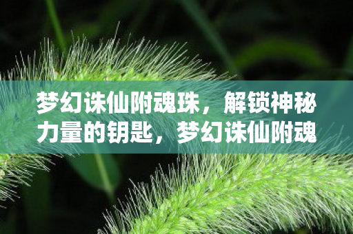 梦幻诛仙附魂珠，解锁神秘力量的钥匙，梦幻诛仙附魂珠，解锁神秘力量的钥匙