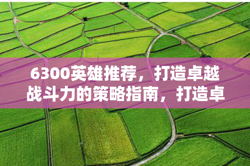 6300英雄推荐，打造卓越战斗力的策略指南，打造卓越战斗力，6300英雄推荐策略指南