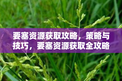 要塞资源获取全攻略图片