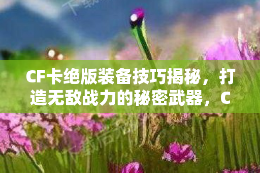 CF卡绝版装备技巧揭秘，打造无敌战力的秘密武器，CF卡绝版装备打造技巧，揭秘无敌战力秘密武器