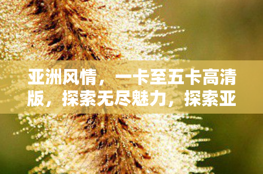 一卡至五卡高清版图片