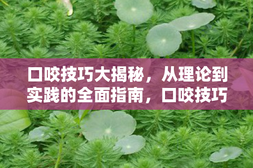 从理论到实践的全面指南图片