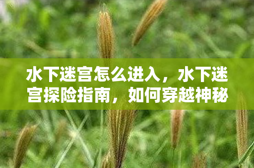 如何穿越神秘的水下世界图片