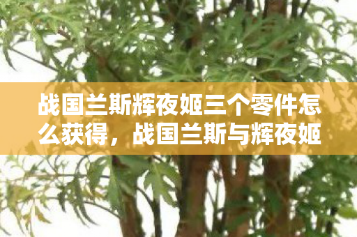战国兰斯辉夜姬三个零件怎么获得，战国兰斯与辉夜姬，穿越时空的浪漫邂逅，战国兰斯与辉夜姬，解锁浪漫邂逅的三个关键零件获取指南