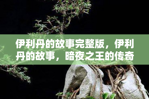 伊利丹的故事完整版图片