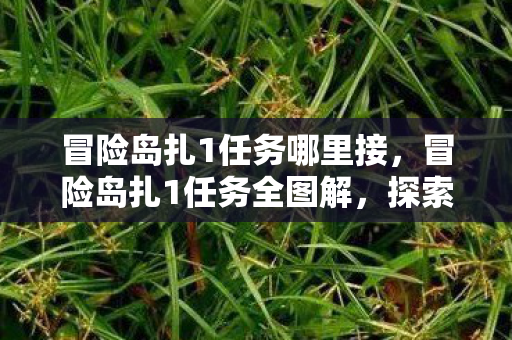 冒险岛扎1任务哪里接，冒险岛扎1任务全图解，探索未知世界的勇者之旅，冒险岛扎1任务全图解，探索未知世界的勇者之旅