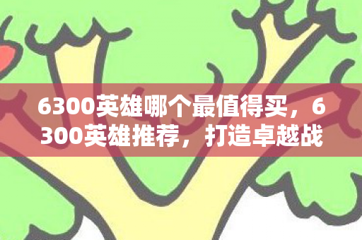6300英雄哪个最值得买，6300英雄推荐，打造卓越战斗力的策略指南，打造卓越战斗力，6300英雄购买策略指南