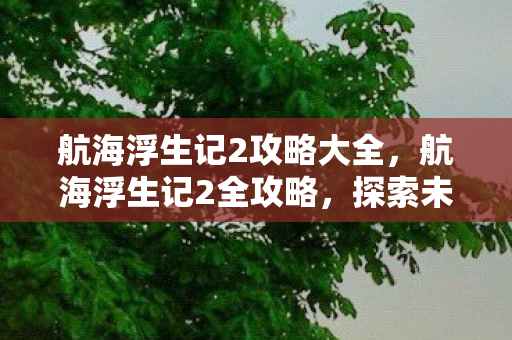 航海浮生记2攻略大全，航海浮生记2全攻略，探索未知海域的奇幻旅程，航海浮生记2全攻略，探索未知海域的奇幻旅程
