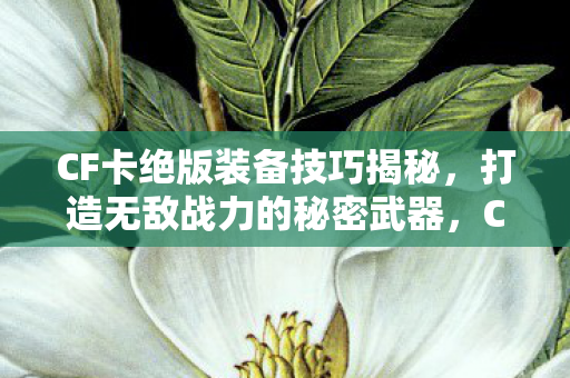 CF卡绝版装备技巧揭秘图片