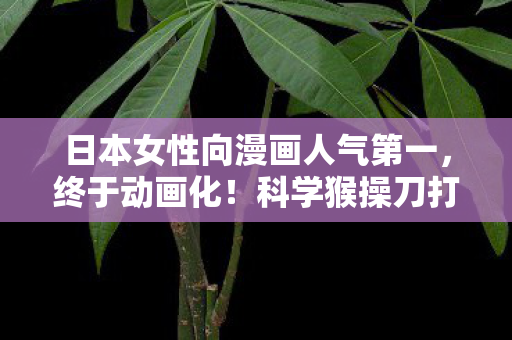 日本女性向漫画人气第一，终于动画化！科学猴操刀打造视觉盛宴！
