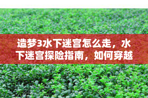 造梦3水下迷宫怎么走，水下迷宫探险指南，如何穿越神秘的水下世界，造梦3水下迷宫探险指南，穿越神秘的水下世界