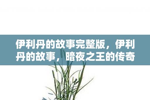 伊利丹的故事完整版图片